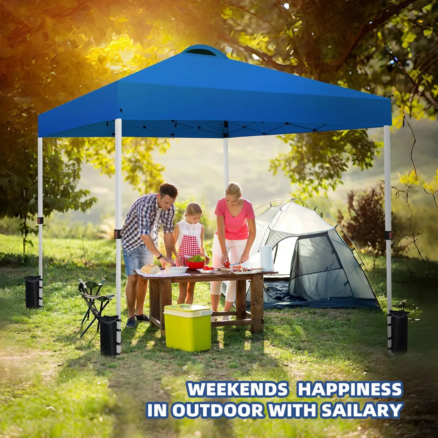 10x10 Heavy Duty Pop up Commercial Canopy Tent Instant Sun Shelter with Roller Bag, Bonus 8 Stakes and 4 Ropes, Blue