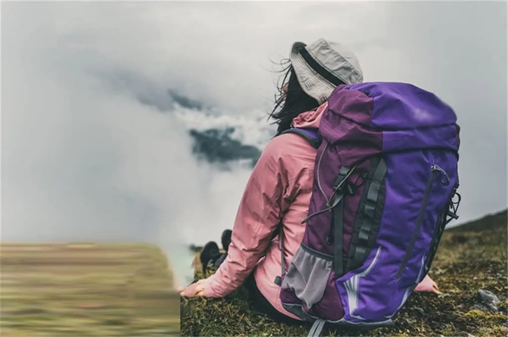 40L Outdoor Bag Hiking Sports Backpack Multi Pocket Travel Backpack Mountaineering Backpack(D)