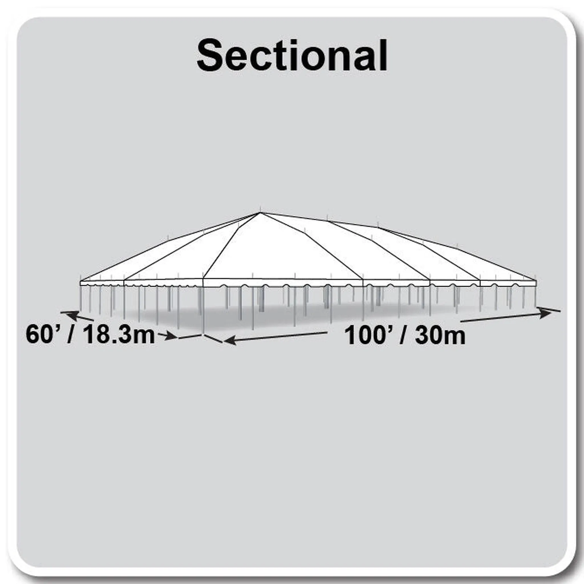 60x100 Classic Series Pole Tent