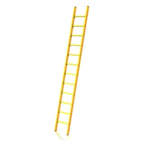 7 Meter Pole Ladder