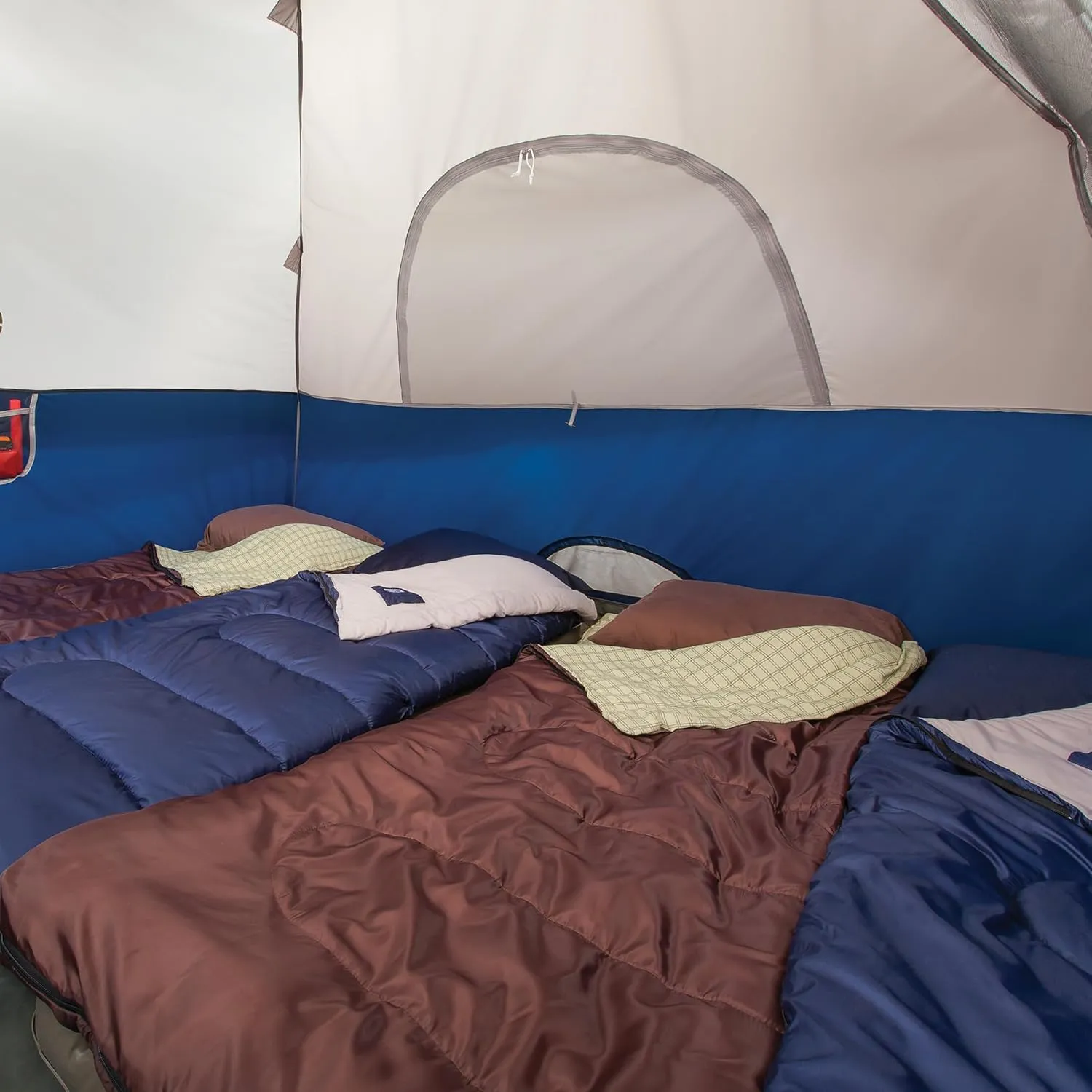 Coleman Sundome Camping Tent 2/3/4/6 Person Dome Tent with Quick Setup