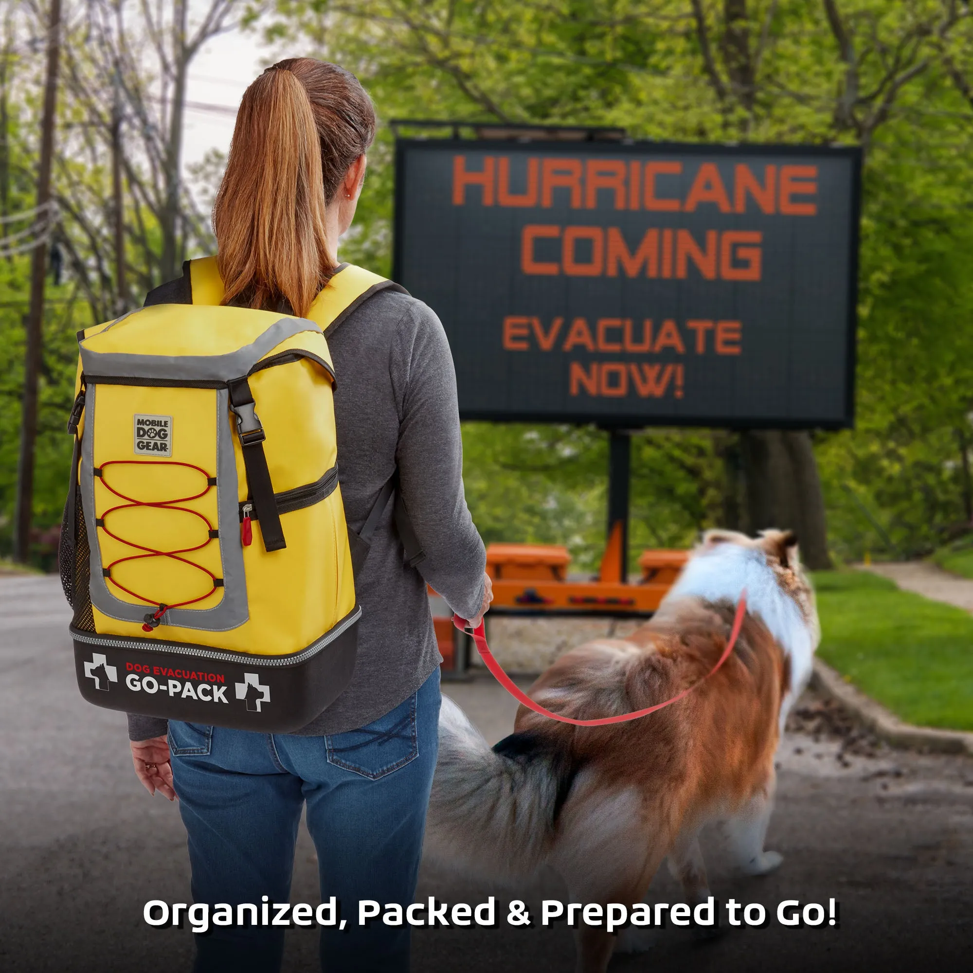 Dog Evacuation Go-Pack (Small)