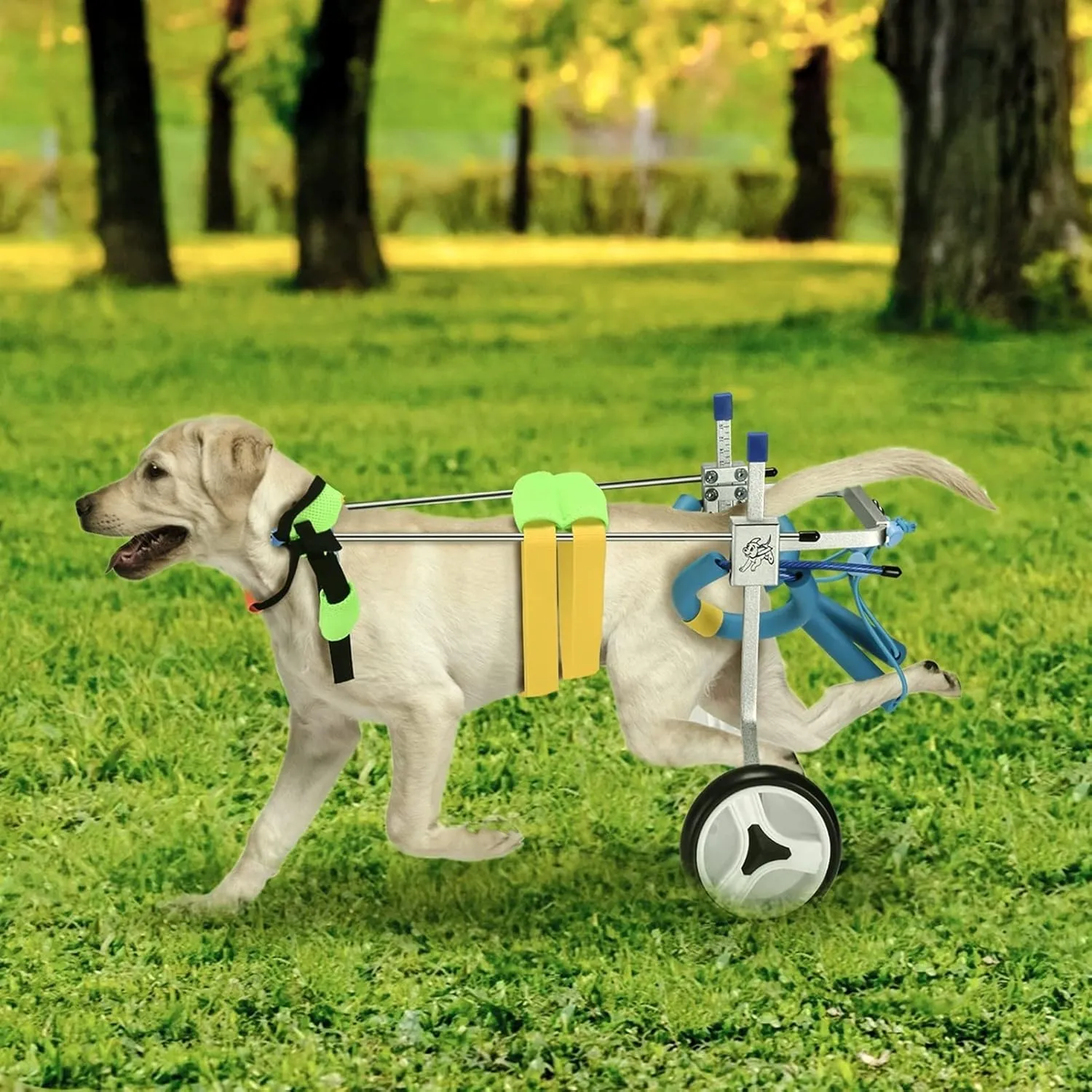 Dog Wheelchair, Mobility Aids for Small Pets Hind Limbs, 2 Wheels Dog Back Brace for Handicap Dogs, Doggie Hind Legs Rehabilitation Assisted Cart with 2m/6.6ft Leash, Aluminum Fixing Frame
