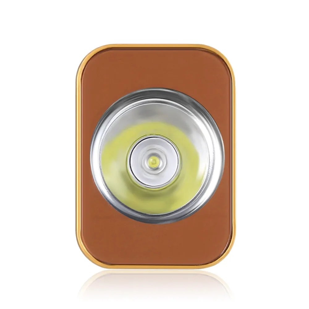 DONGZHISHENG DS - 901 Rechargeable LED