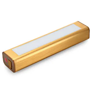DONGZHISHENG DS - 901 Rechargeable LED