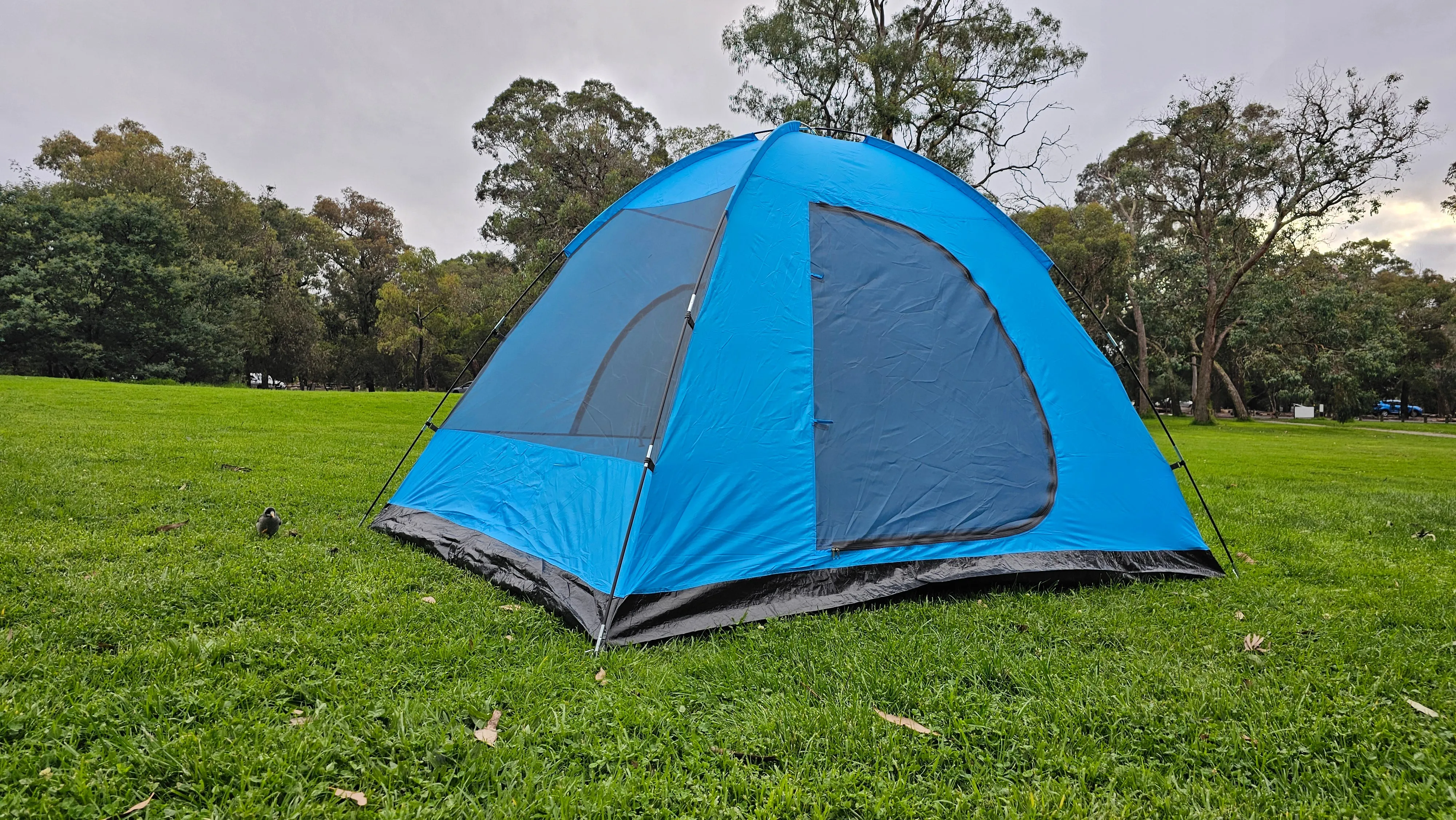 Everest VI 5-6 Persons Tent