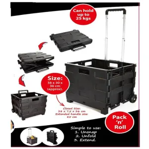 FOLDABLE SHOPPING TROLLEY CART (6)