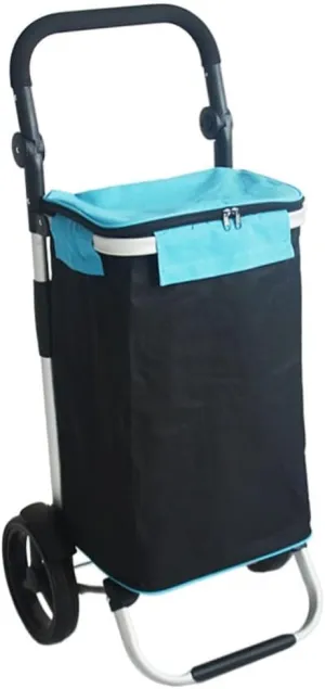Folding Shopping Cart, Folding Shopping Trolley with 2 Wheels Shopping Cart Home Portable Grocery Supermarket Shopping Cart Elderly Grocery Utility Carts(C)
