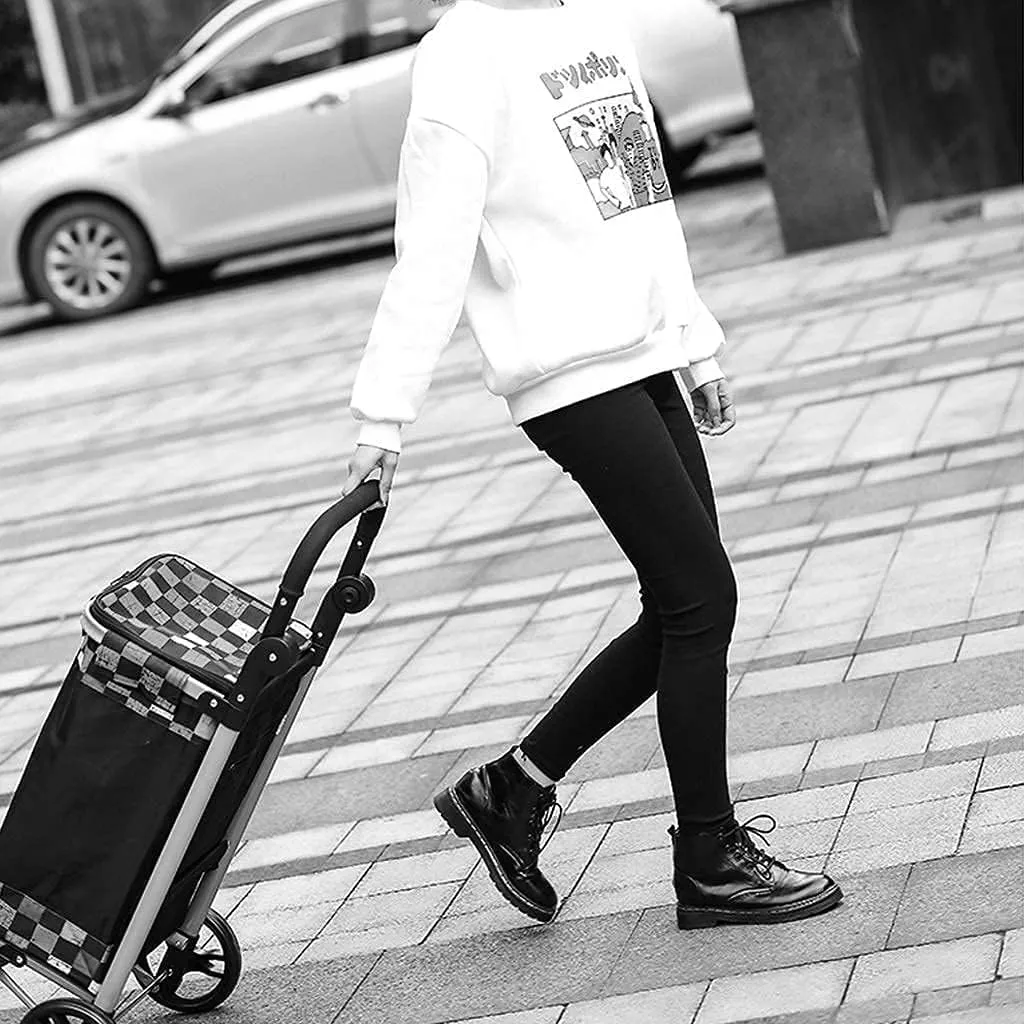 Folding Shopping Cart, Folding Shopping Trolley with 2 Wheels Shopping Cart Home Portable Grocery Supermarket Shopping Cart Elderly Grocery Utility Carts(C)