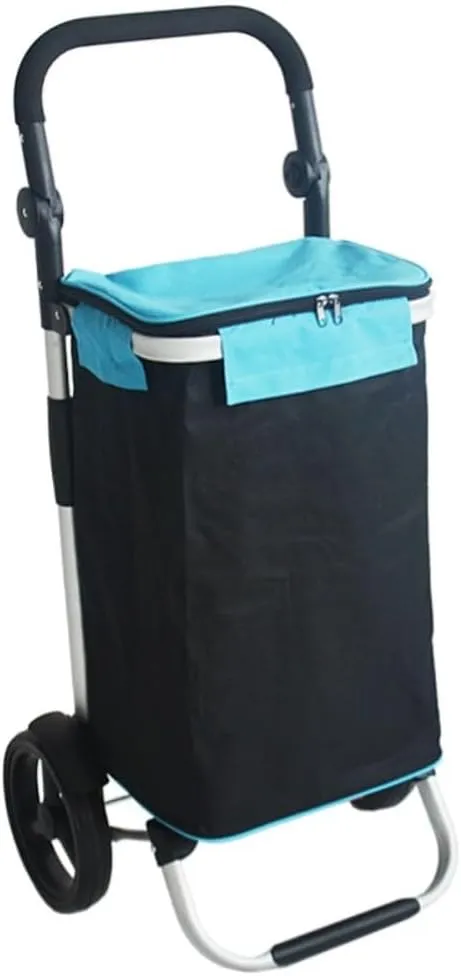 Folding Shopping Cart, Folding Shopping Trolley with 2 Wheels Shopping Cart Home Portable Grocery Supermarket Shopping Cart Elderly Grocery Utility Carts(C)