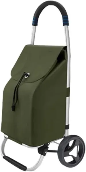 Grocery Household Light Stairs Multifunctional Foldable Portable Shopping Bag Trolley Climbing Grocery Trolley (C Ordinary Wheel)