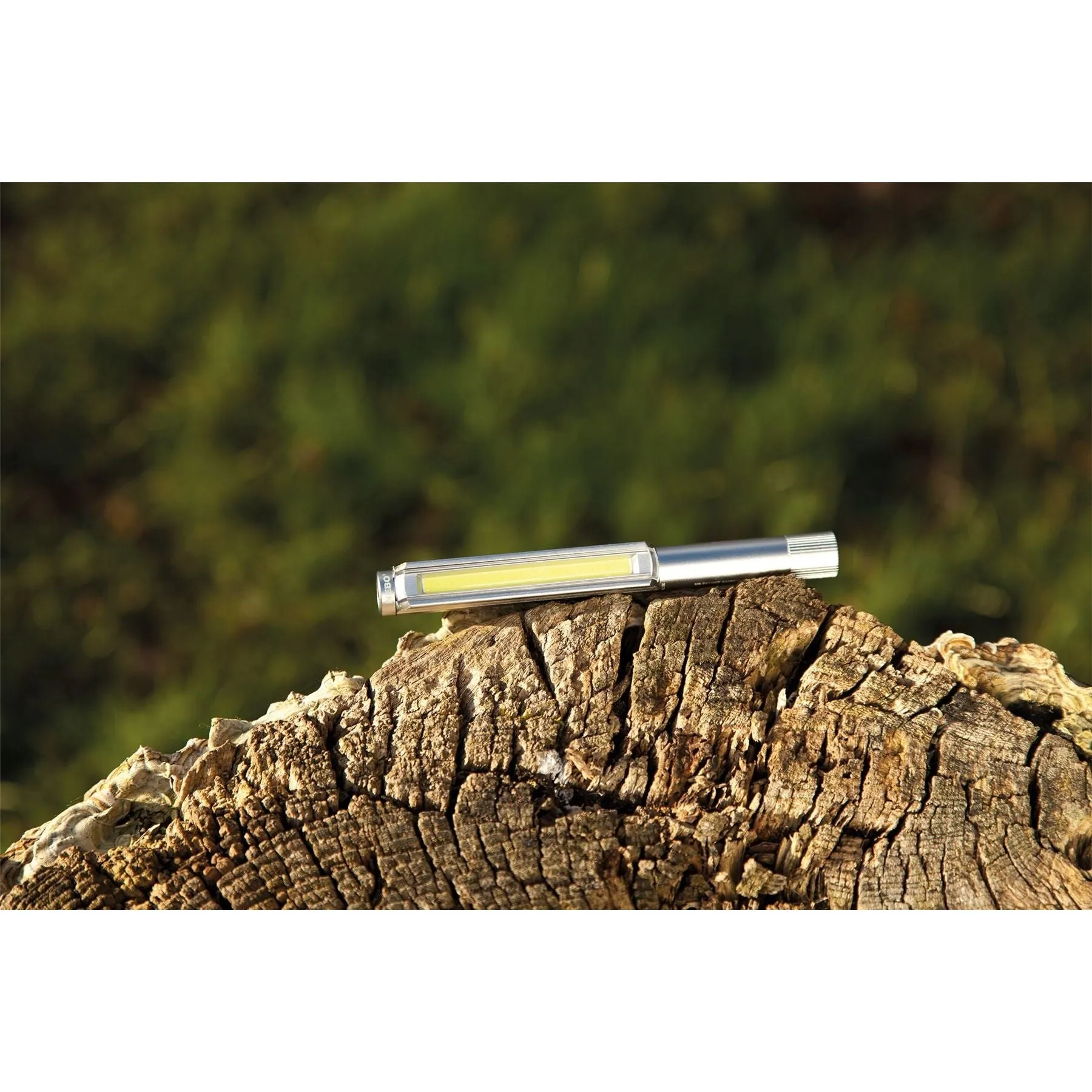Lil Larry torch and work light NEB-6373-G