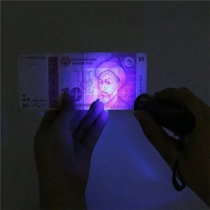 Portable Mini UV Flashlight 395/365nm LED Lamp for Pet Stain Detection & Hunting