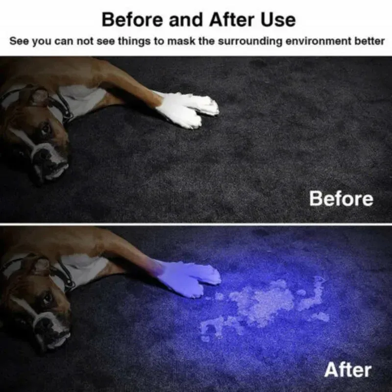 Portable Mini UV Flashlight 395/365nm LED Lamp for Pet Stain Detection & Hunting