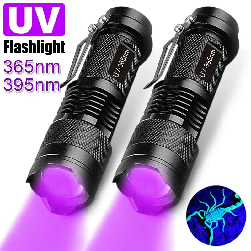 Portable Mini UV Flashlight 395/365nm LED Lamp for Pet Stain Detection & Hunting