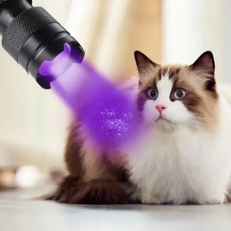 Portable Mini UV Flashlight 395/365nm LED Lamp for Pet Stain Detection & Hunting