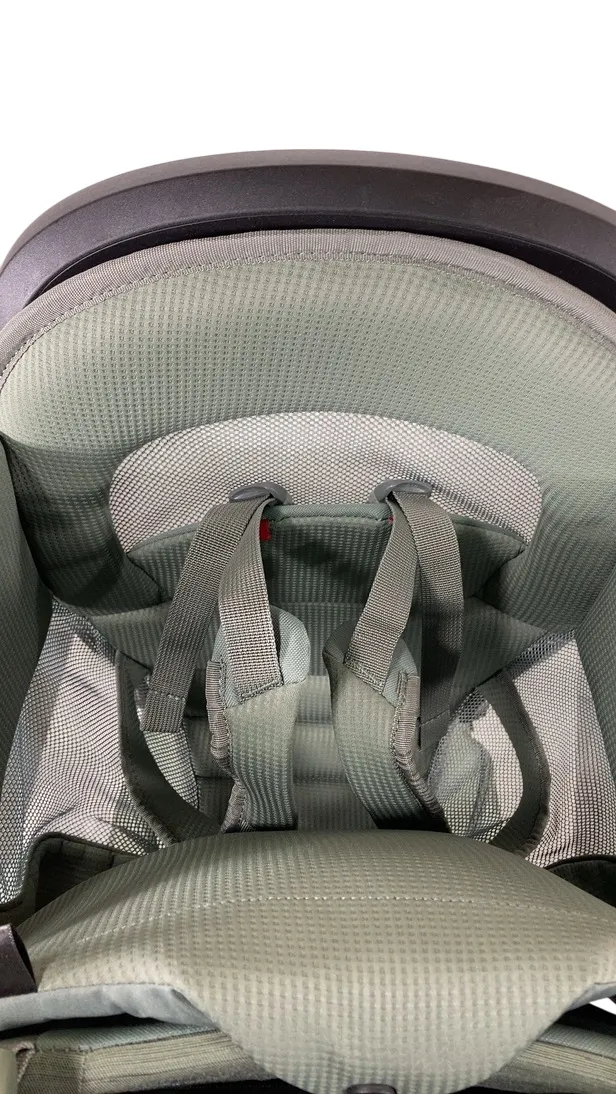 Thule Sapling Child Carrier, Agave