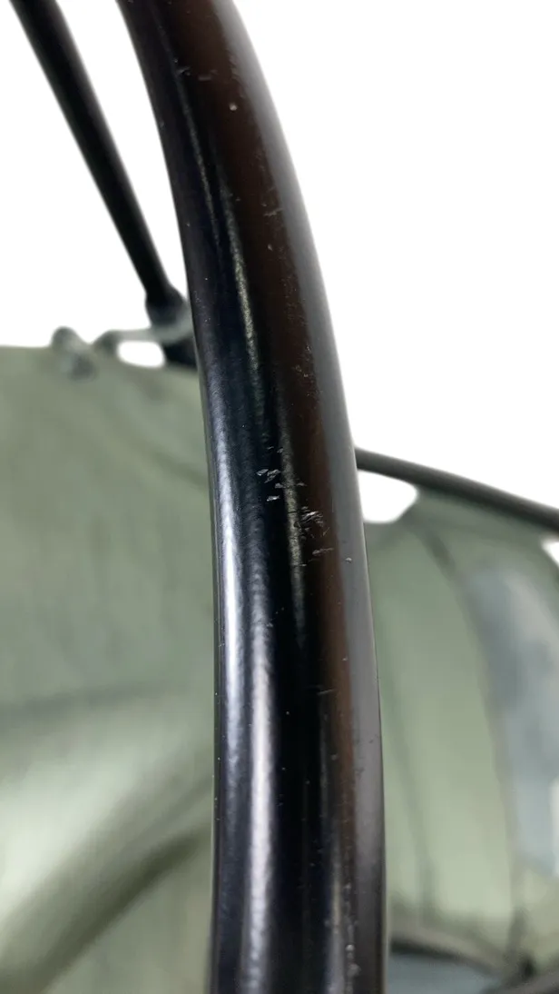 Thule Sapling Child Carrier, Agave