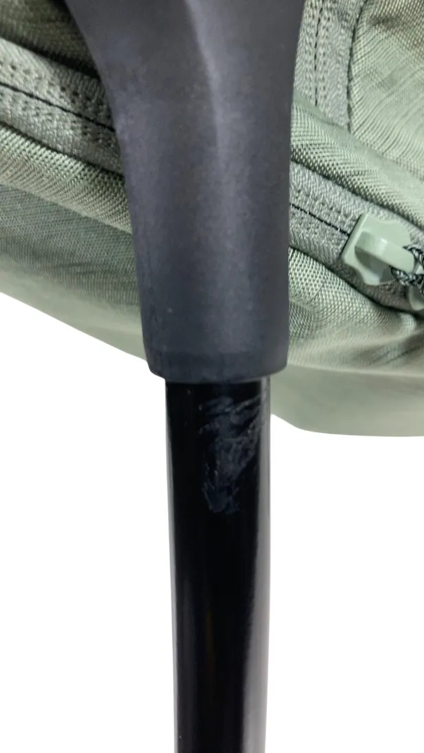 Thule Sapling Child Carrier, Agave