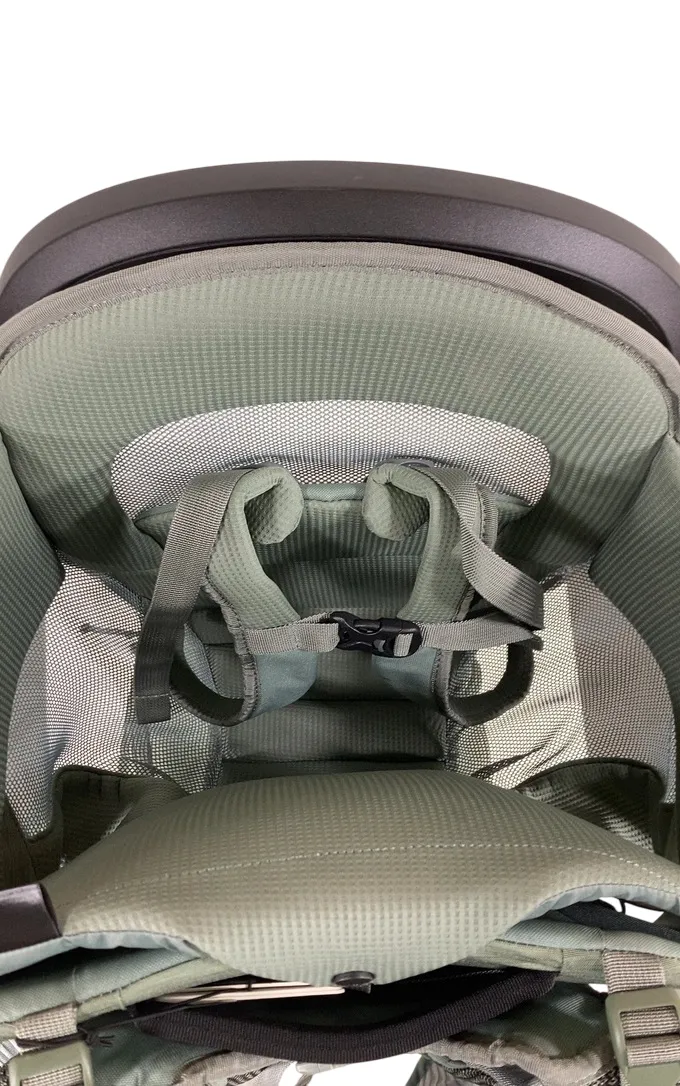 Thule Sapling Child Carrier, Agave