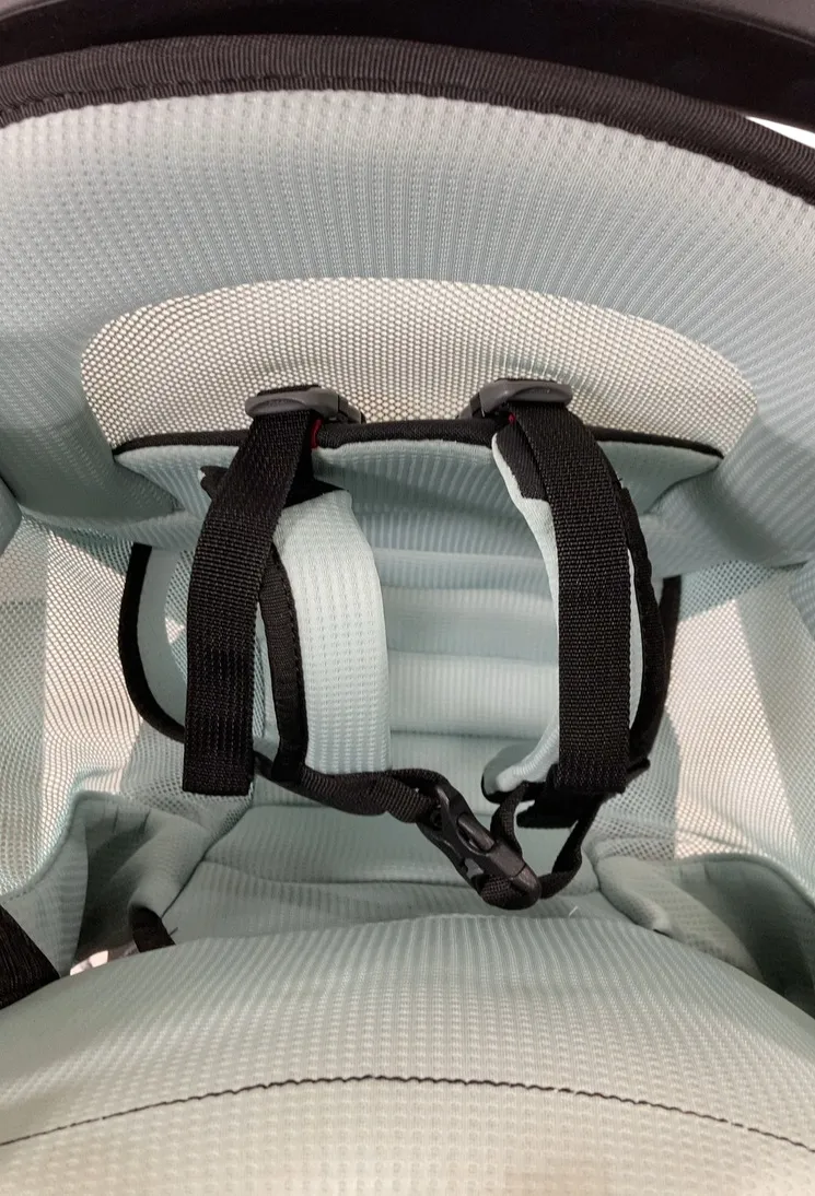 Thule Sapling Child Carrier, Black
