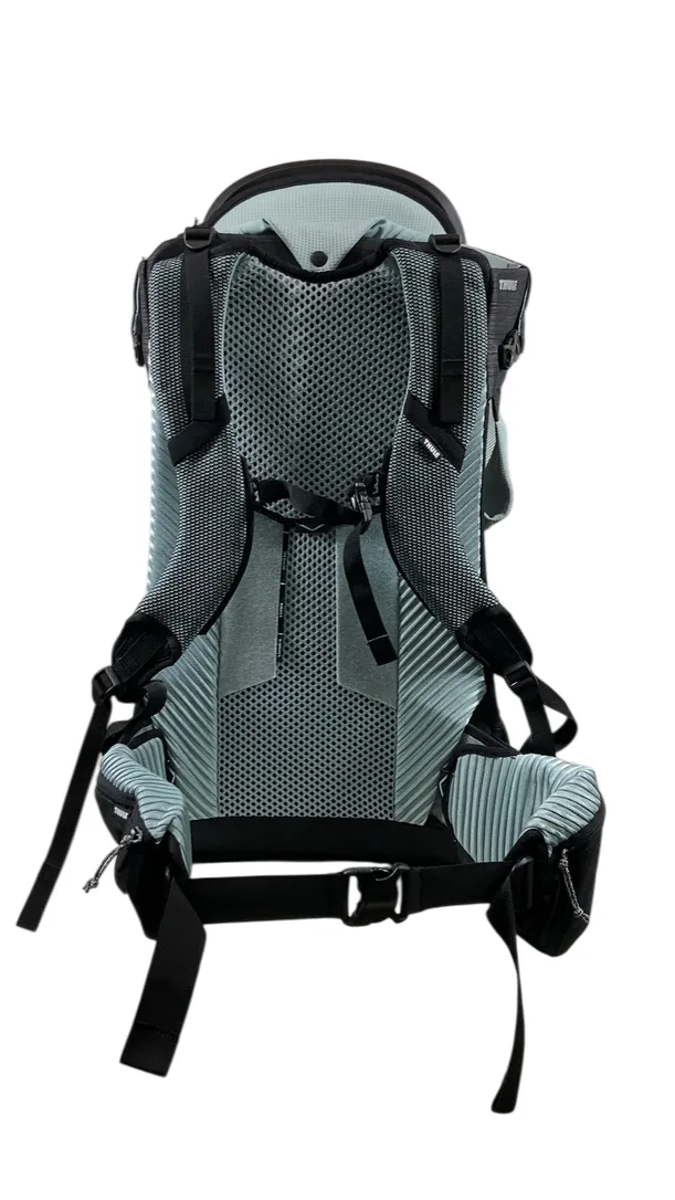 Thule Sapling Child Carrier, Black