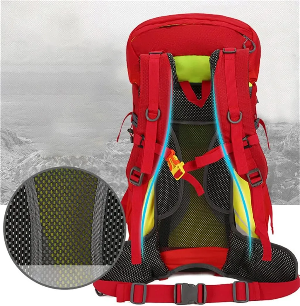 Travel Sports Backpack Camping Bag Multi Pocket Outdoor Bag 40L Hiking Backpack(D)