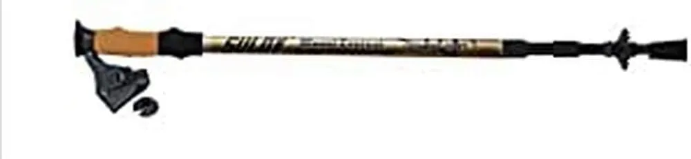 Trekking Pole Mount Everest